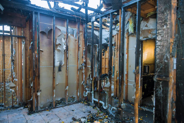 Professional Fire Damage Restoration technician working in Elmer, NJ